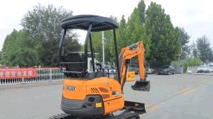 2ton Mini Crawler Digger Xn20 for Sales