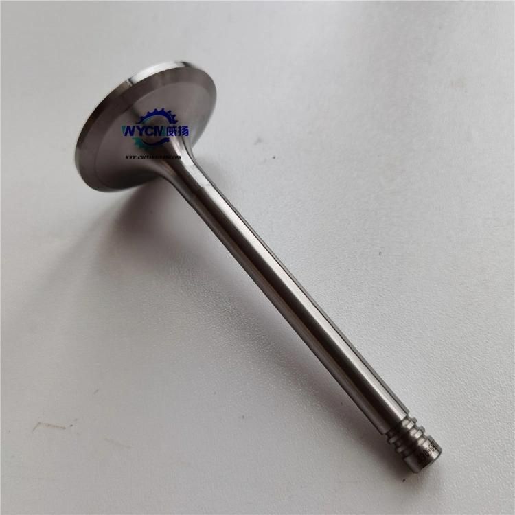 Weichai Intake Valve 12159606 for Wp6g Td226b Engine