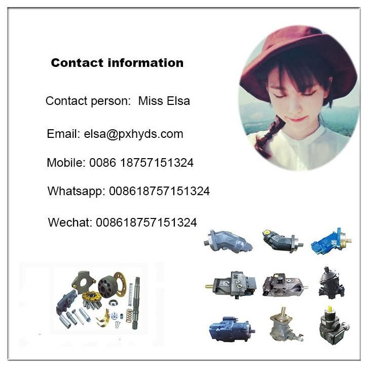 A2FM32 Hydraulic Piston Motor for Hoisting Machinery Concrete Mixer