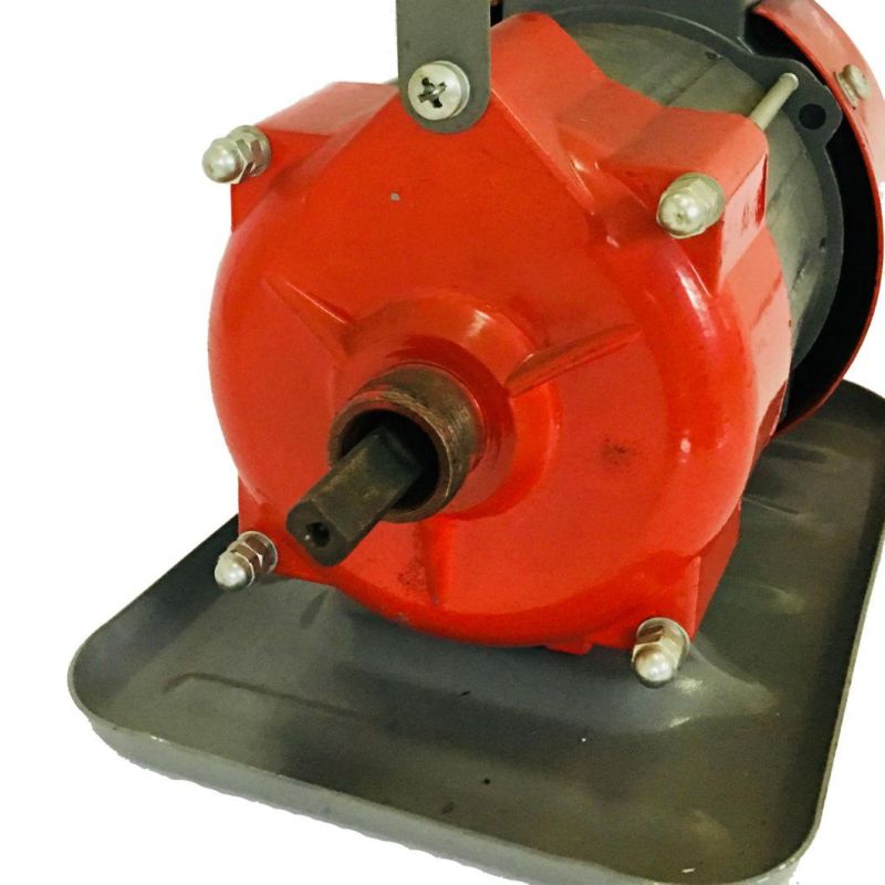 Electric Concrete Vibrator for Factory Price