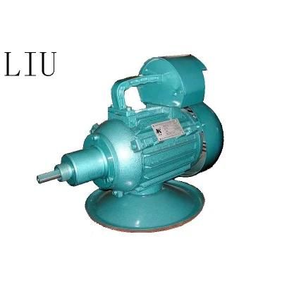 Processing Machinery Electric Concrete Vibrator Zn70fd for Sale